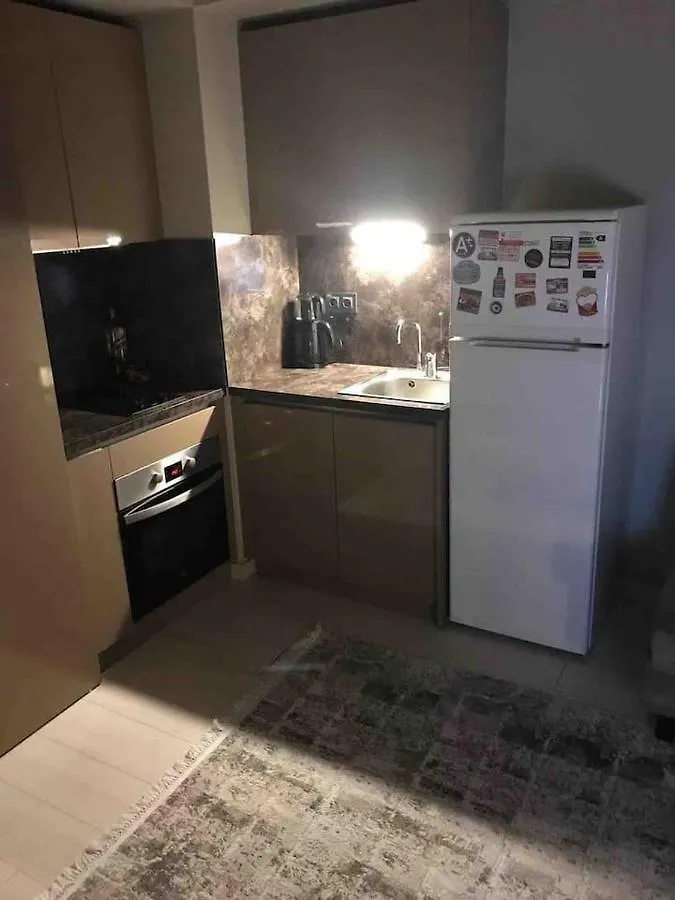 公寓 伊斯坦布尔 Nef酒店 土耳其